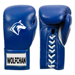 Fighting Fearless Certified Pro Fight Boxing Gloves II